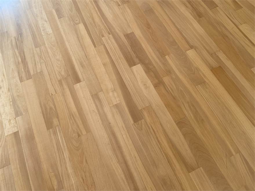 Photo 41