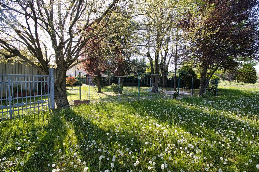 giardino